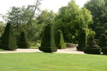 topiary garden